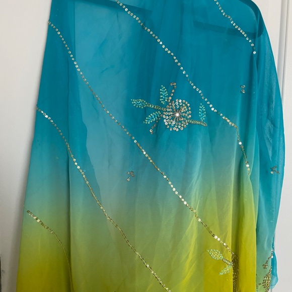 Beaded saree colours - Picture 6 of 9